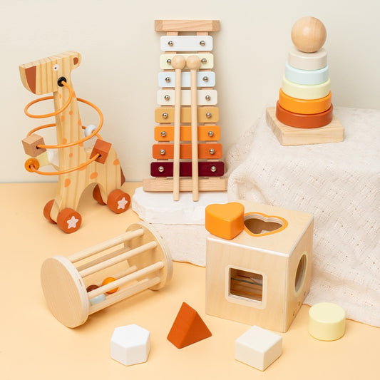 Smarttwo Wooden Montessori Toy Set for Toddlers 1-3, Educational for Shape Sorting, Stacking, Musical Delightment (5units)