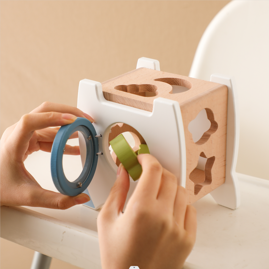 Smartwo Early Educational Montessori Wooden Toy